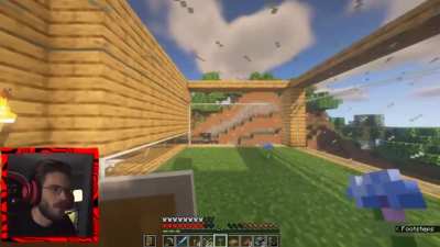 Having animals in Minecraft