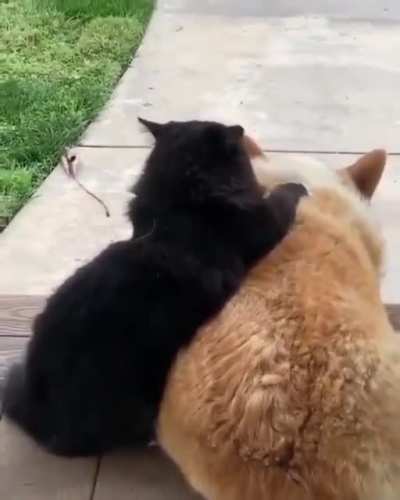 Yes! That&rsquo;s the spot!