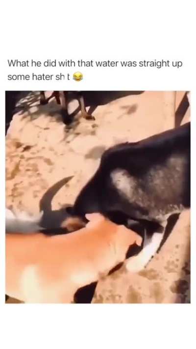 🤣😂😂🤣