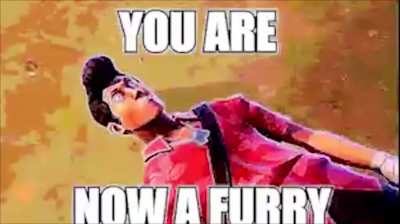 furry⏩irl