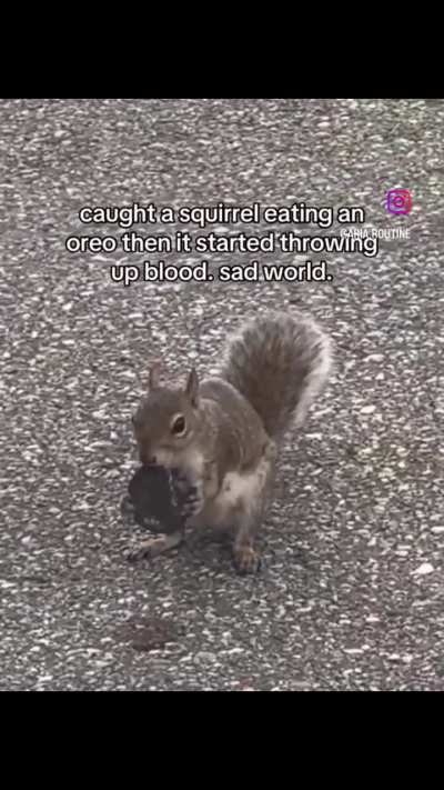 Cruel world