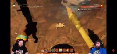Little spiders revenge