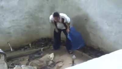 Slapping a cobra
