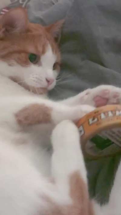 Look at those toebeans 