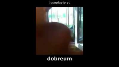 Dobreum (Cr&eacute;dito para Joseplayip yt)