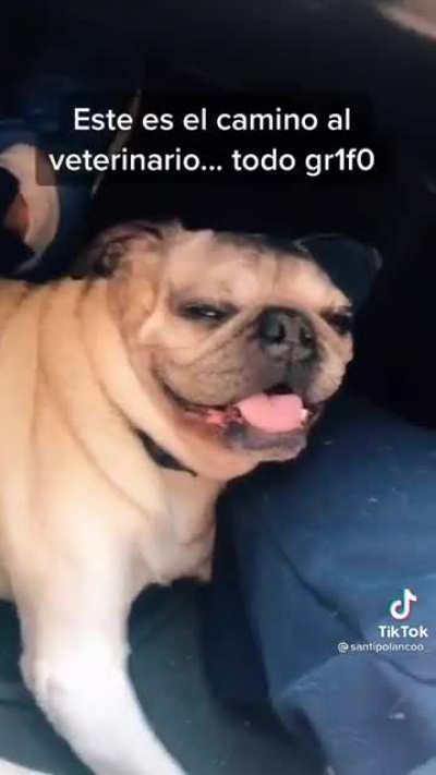 Admiraci&oacute;n