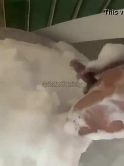 😆