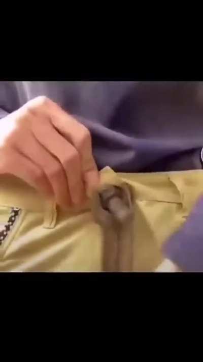 blursed_pants