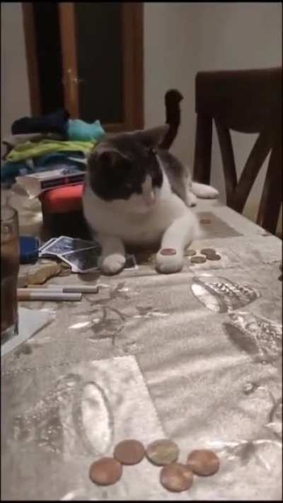 Can you do it