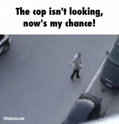 Welp that didn’t work out