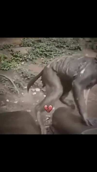 💔💝