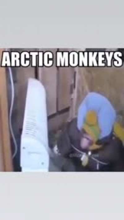 mamacos do ártico KKKJK (I'm brazilian, sorry😔)