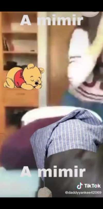 A mimir