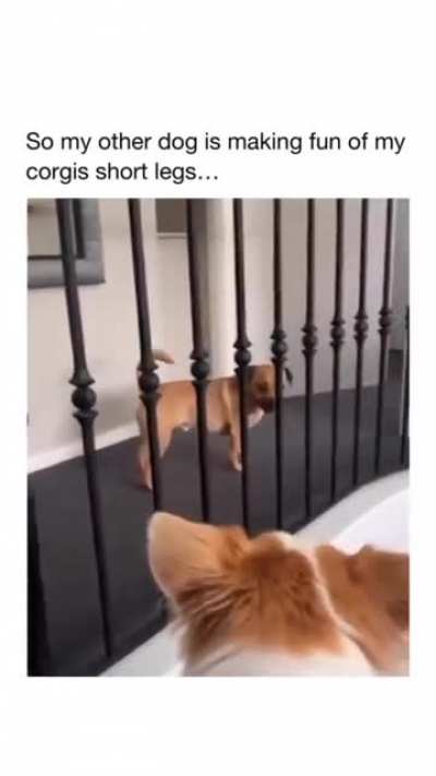 He said "Don't"