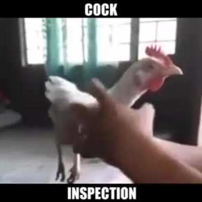 Inspecci&oacute;n