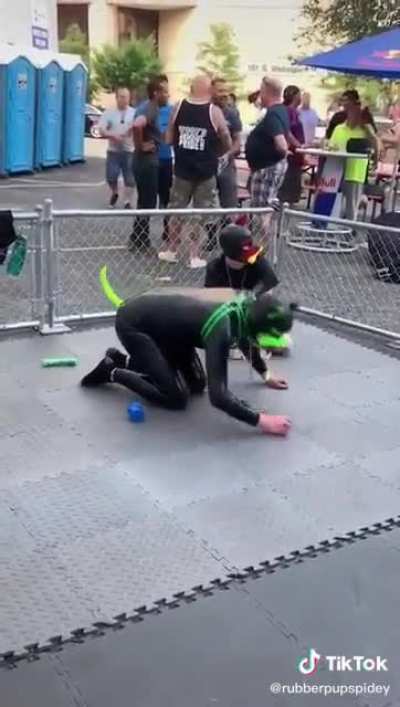 Not even PETA wanted to euthanise them