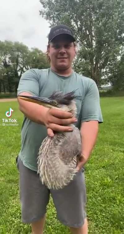 Arg-