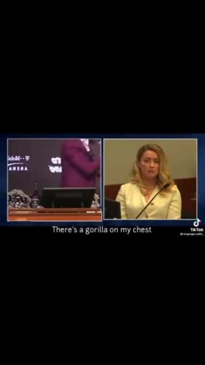 The case of Conor McGregor v Amber Heard
