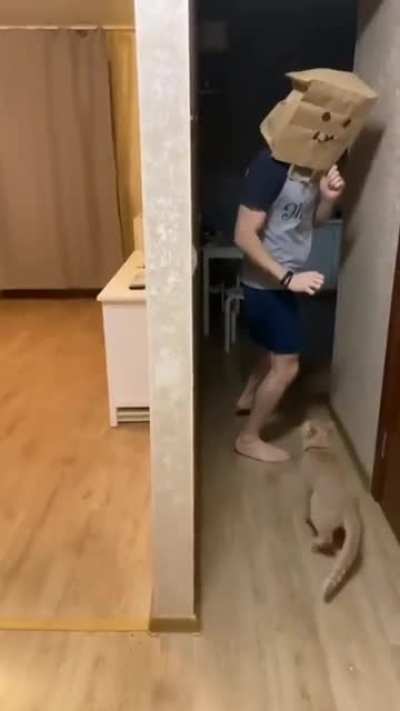 Страшнее Кошки зверя нет!