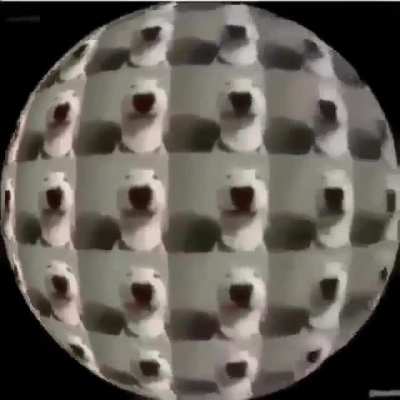 the void of walter