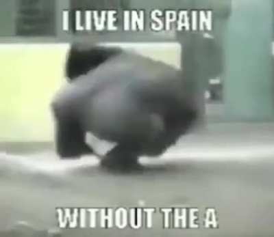 Without the "s"