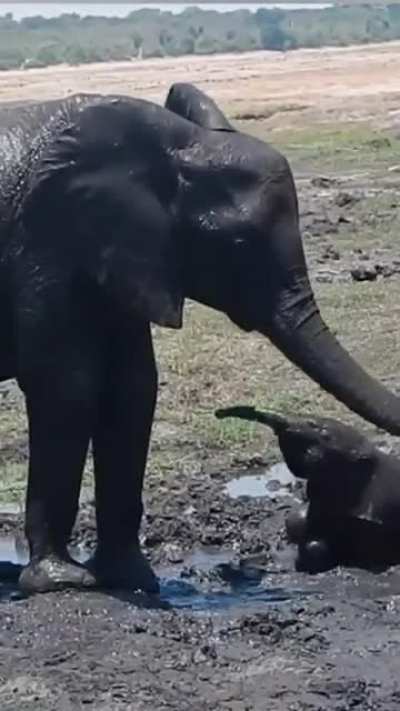 Mud love