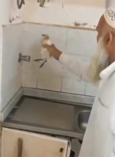 Desi pesticide