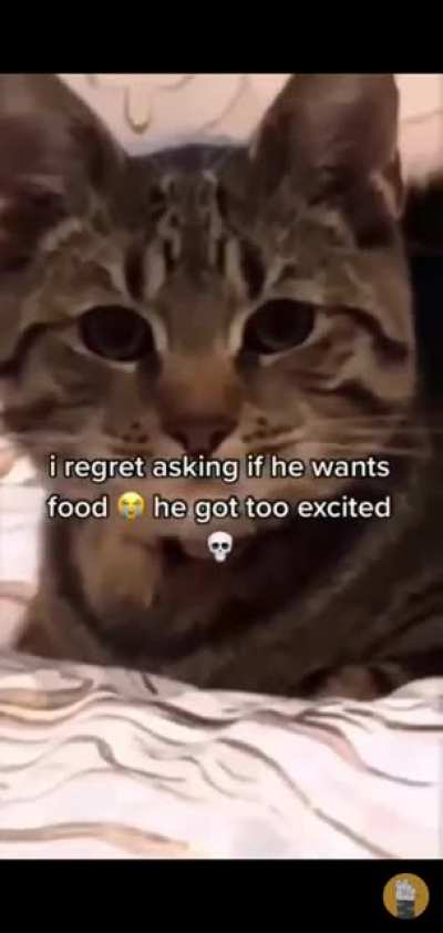 "You want food?"