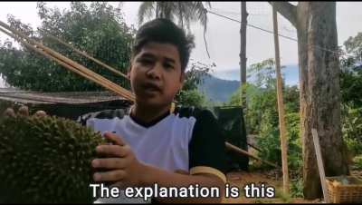 Why this durian is so expensive