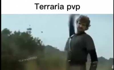 Imagine if terraria pvp is real