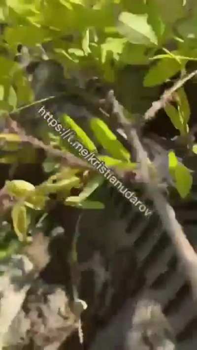 A week ago, Russian media reported on the destroyed Ukrainian landing force in Energodar. Then the propagandists published videos of killed Ukrainian fighters. The full video from the filming location has been released. There "dead Ukrainian fighters" com
