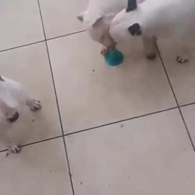 Such strength