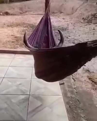 ;-;