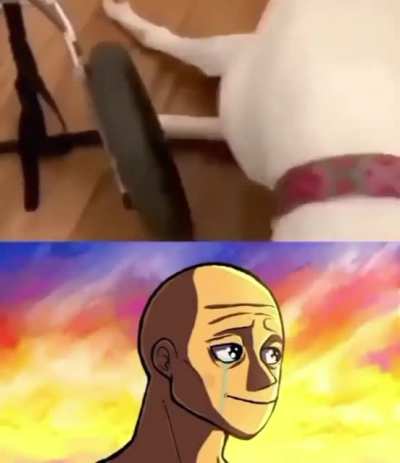 a veces el mundo no es tan malo
