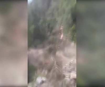 Idiot calculating wrong the fall of a tree