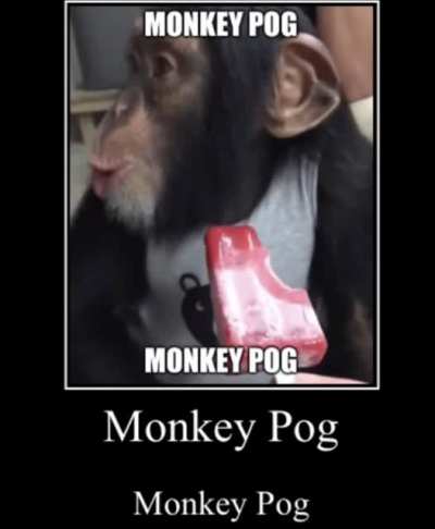Pog monke pog monke