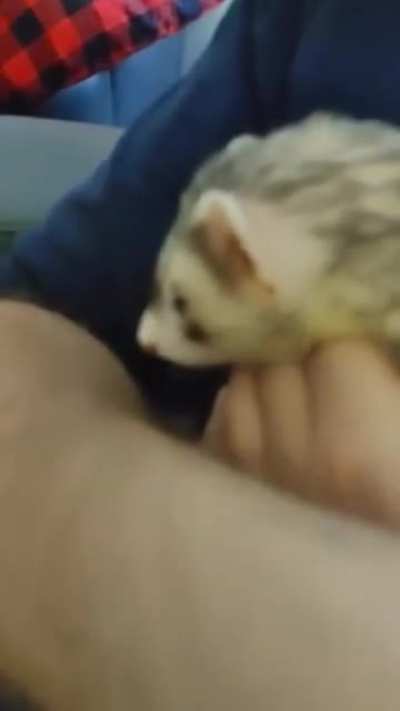 Blurry baby snores