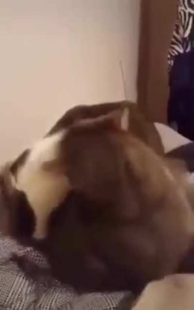 AHHHHH!