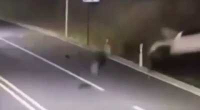 Bro fell from space