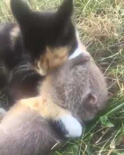 A Unique Friendship