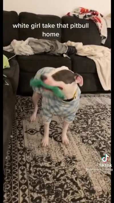Goodest Dogs!
