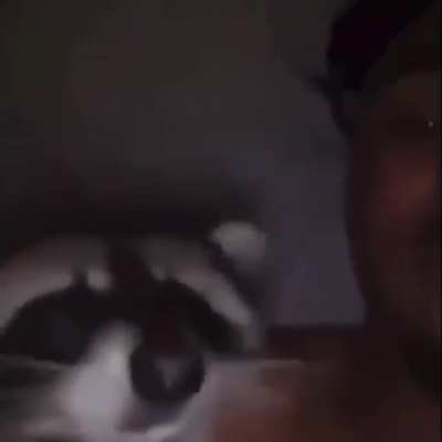 Bro, not I front the cam