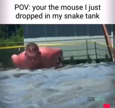 Rule