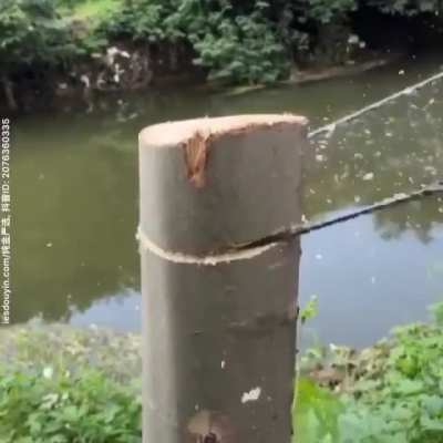 Pocket Chainsaw