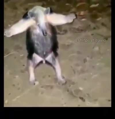 Can feel the power