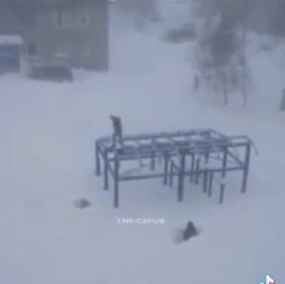 Детские игры в Норильске