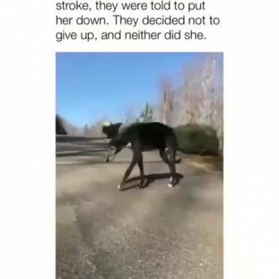 What a champ!