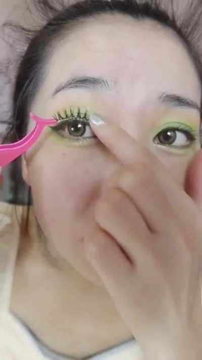to be a makeup guru when your dog is around