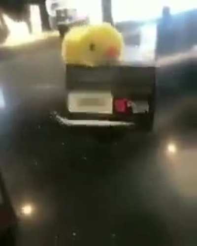 El Pollo Loco