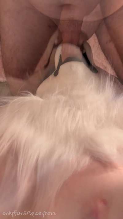  A good girl lets her muzzle be used at the convenience of her mate~ 💖 OF: SpiceyFoxx 